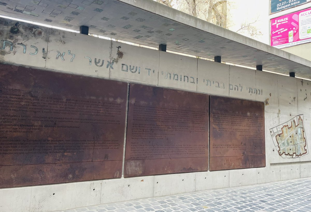 MP 974👨🏽‍🏫🌍⏳🏺🐈🐝✈️🇷🇪🇫🇷 tweet media