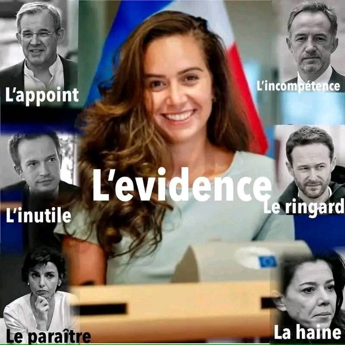 <a href="/PNerval/">Pierre Nerval</a> Parisien restés Français .... VOTEZ Sarah KNAFO !