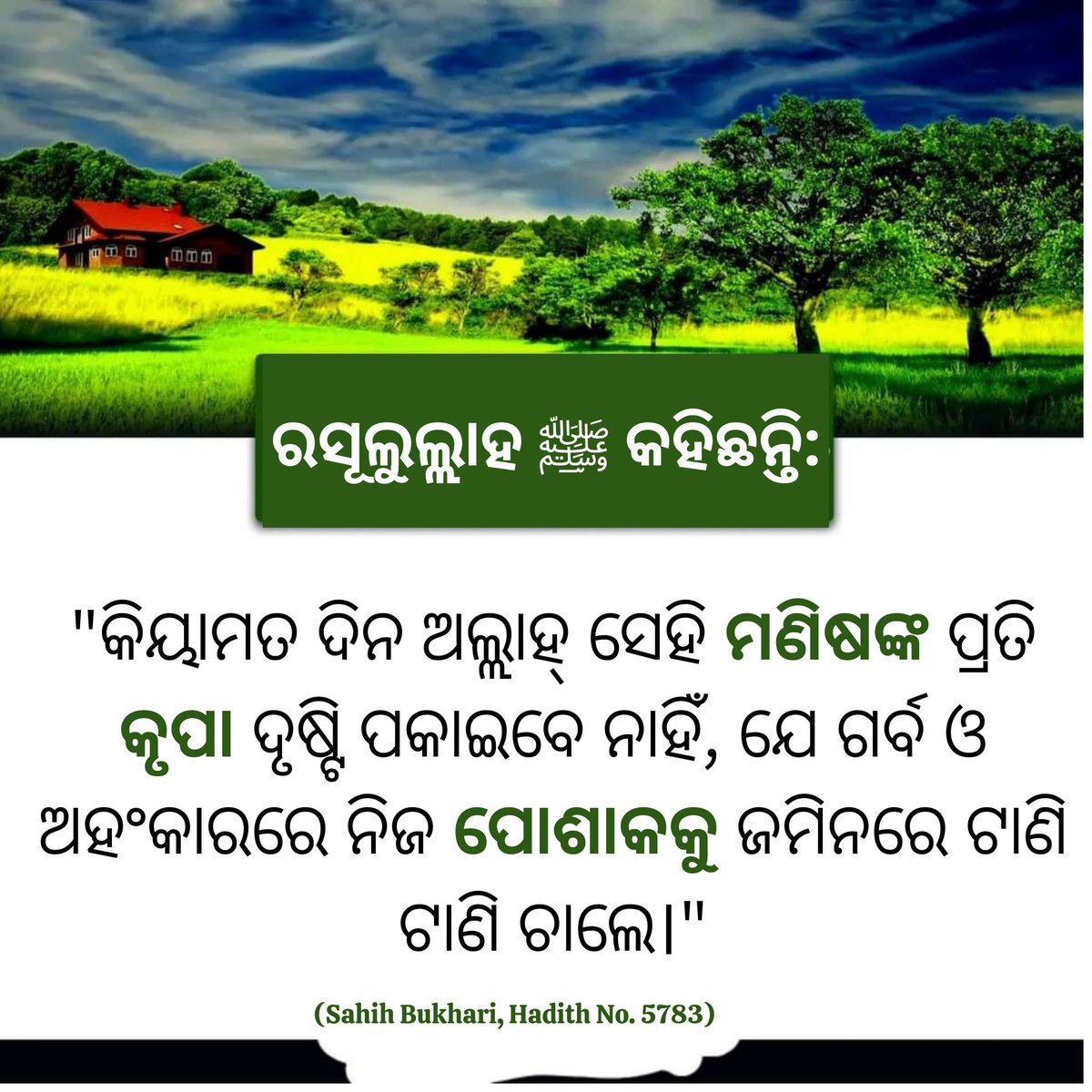 IicOdisha54117's tweet image. #quran #prophetmuhammad #ramdanmubarak #rolemodel #islam # prophetmohammed life #muslim #ramzan #FastingandPrayers