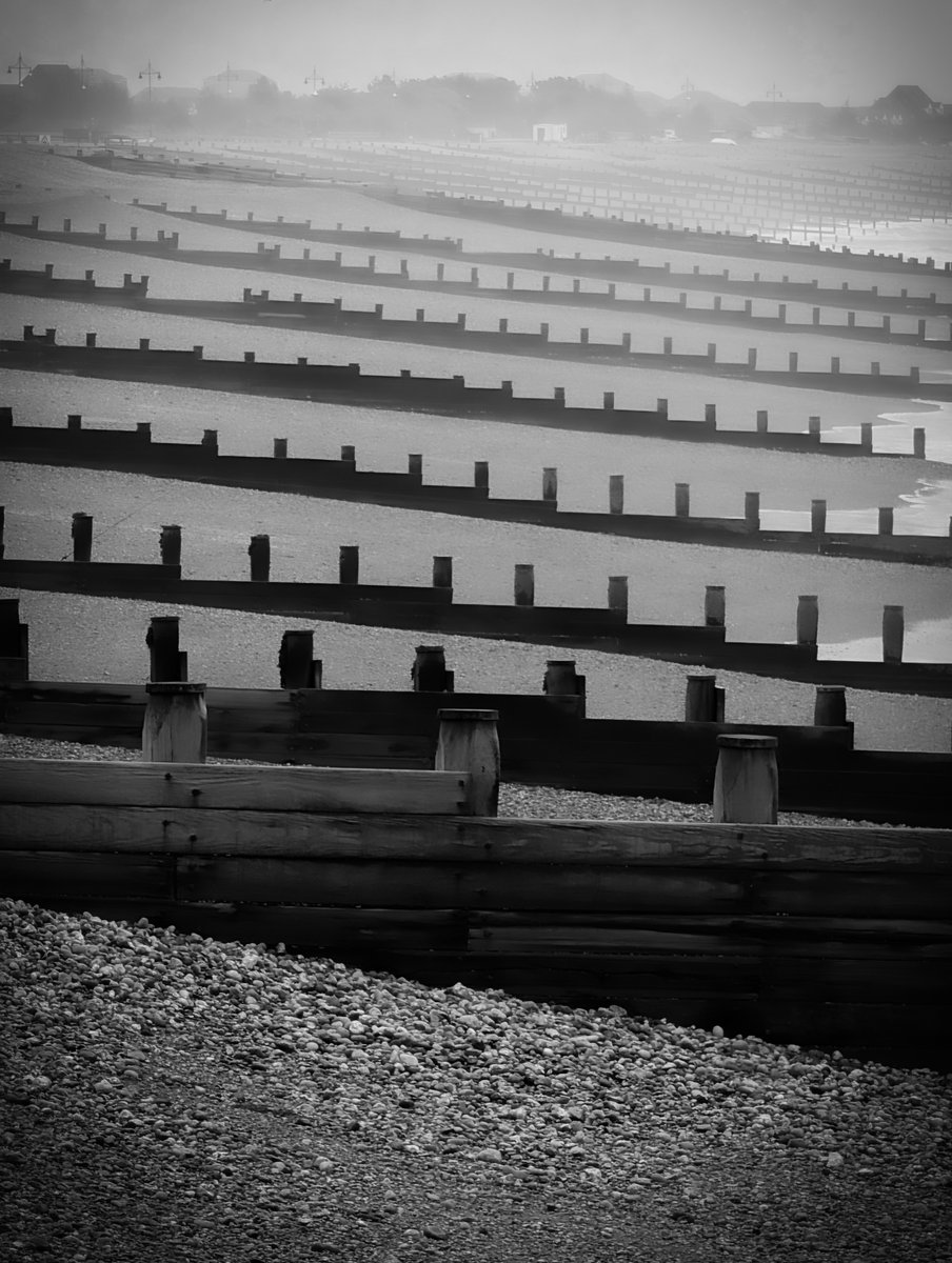 Saffron Swansborough tweet media