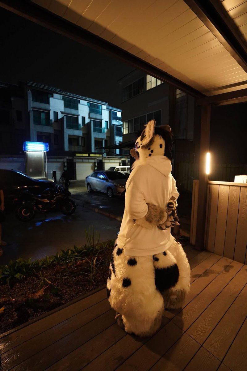 Nele & Benny🐾 tweet media