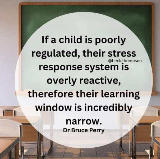 Gerry🧠🌱 tweet media