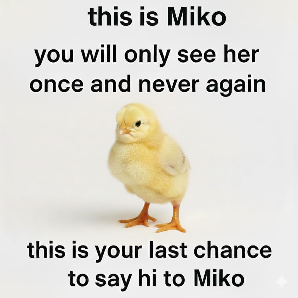mimi ୨ৎ tweet media