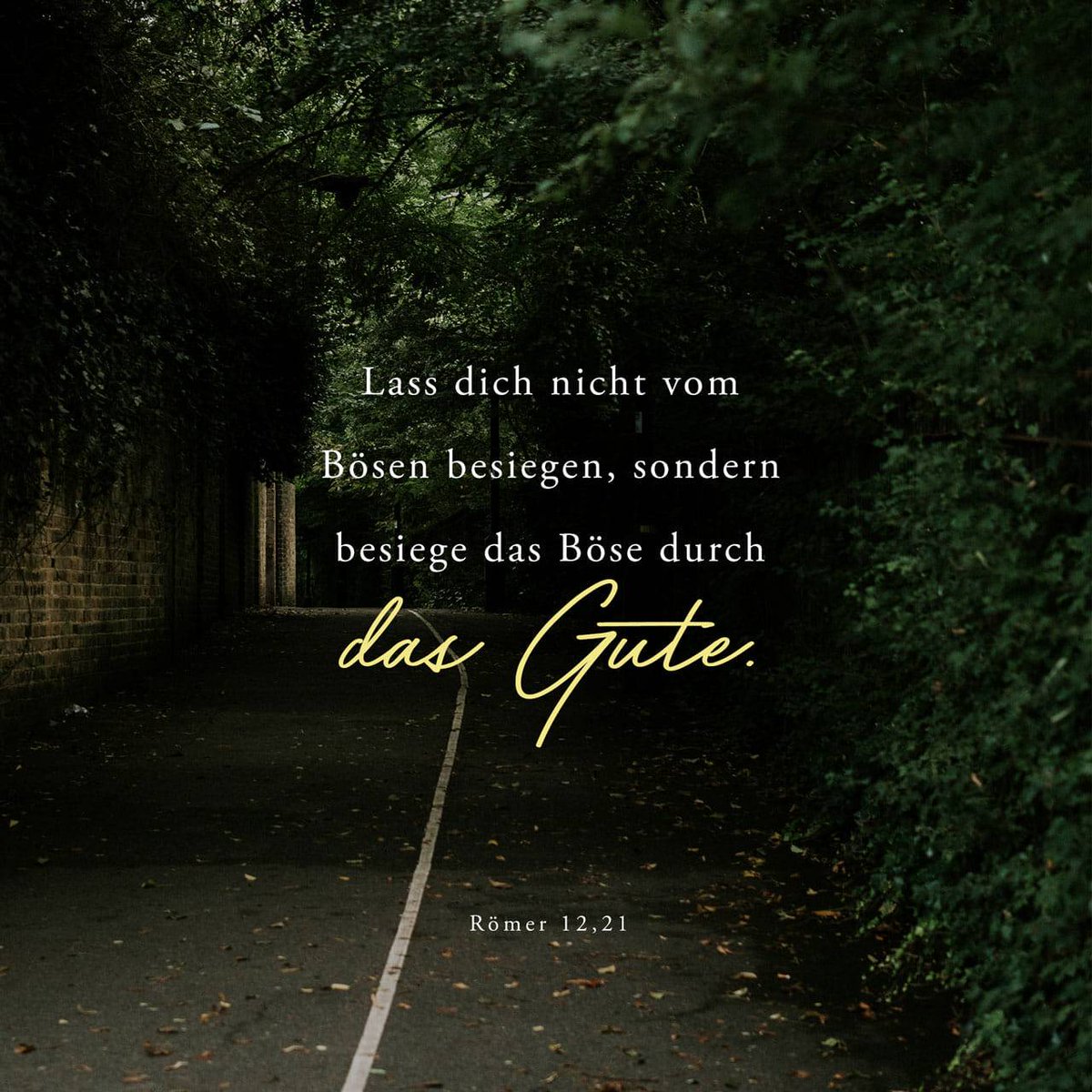 bible.com/verse-of-the-d…