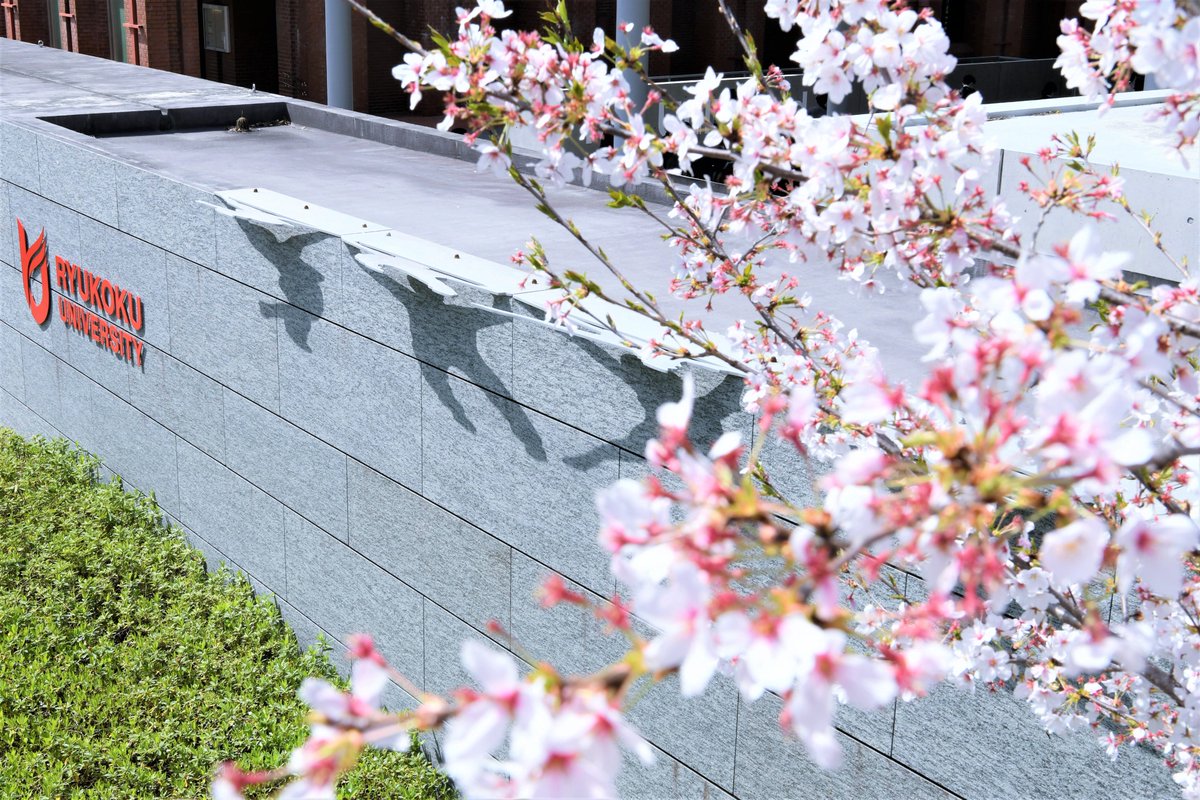 ryukoku_univ_pr's tweet photo. ／
新入生特設サイト2026 オープン📣
＼
あっという間に3月になりました🌸
今後、特設サイトでは新入生の皆さんに役立つ情報を随時更新していきます💁‍♀️
ぜひチェックしてください💡

🔻新入生特設サイト2026
https://t.co/sCqD0z7uF9

#龍谷大学 https://t.co/OisktQonno