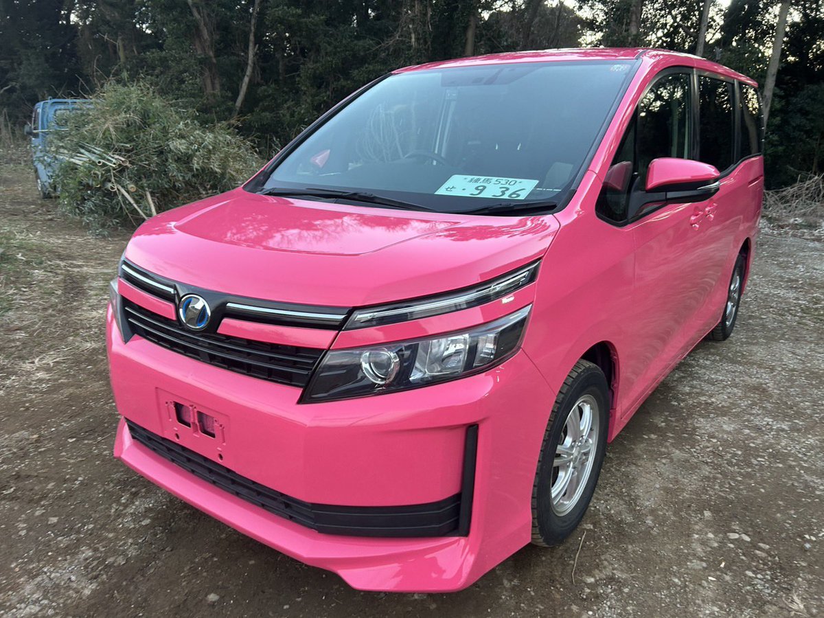 ヴォクシーをれいわピンクに塗りました。ジモティで格安オールペン屋を見つけて、12万円で塗りました。これにれいわピンクの看板とスピーカー付けます。これから選挙の方、れいわカーをお貸しします！れいわの議員を増やす一役になれればと考えています。