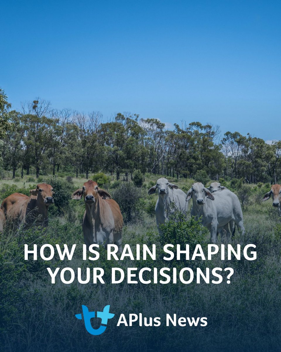 AuctionsPlus tweet media