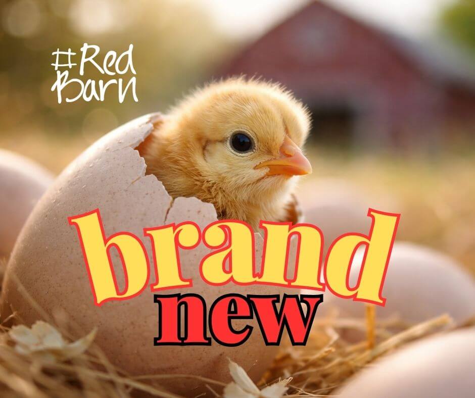 Red Barn News &amp; Special Offers - Some brand new things to try 😁⭐ - mailchi.mp/redbarn.co.za/…