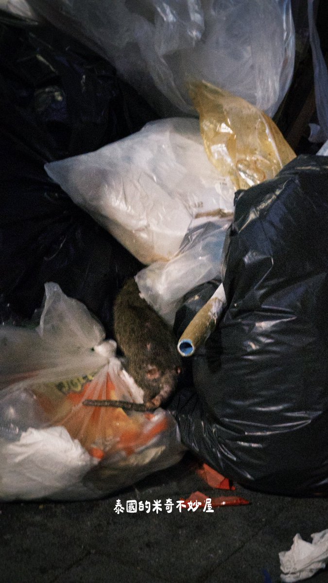 182cm @Taipei tweet media