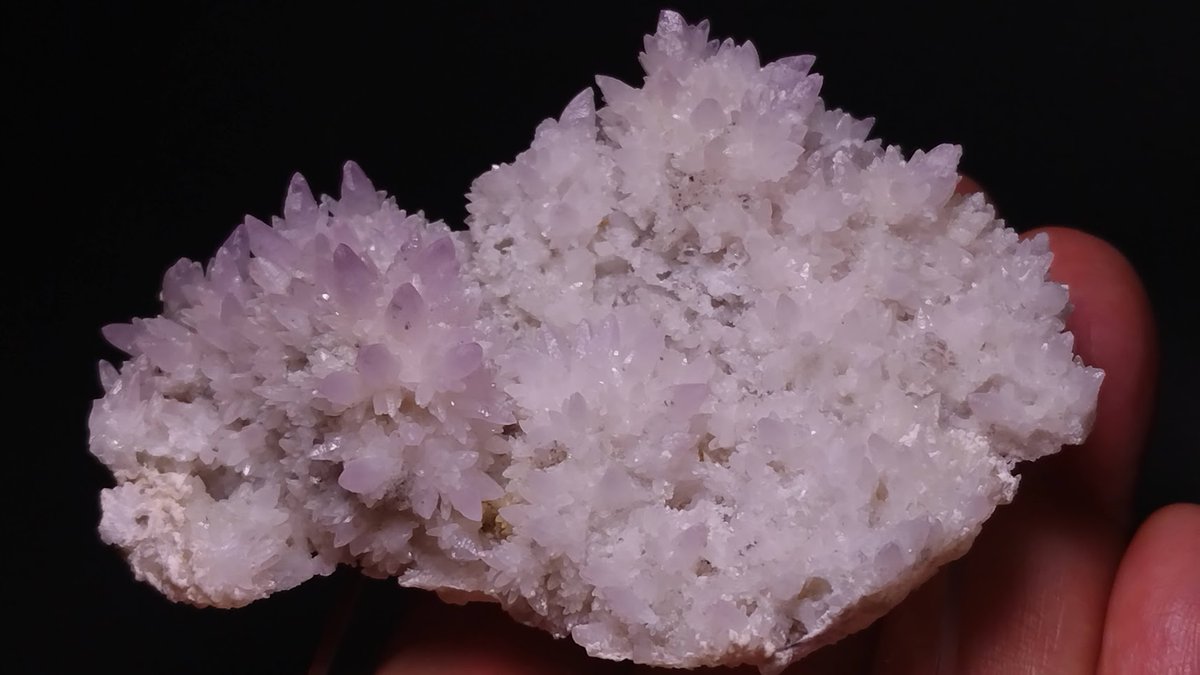 小さいけど可愛い富井鉱山の紫水晶。 今月のミネラルザワールド横浜