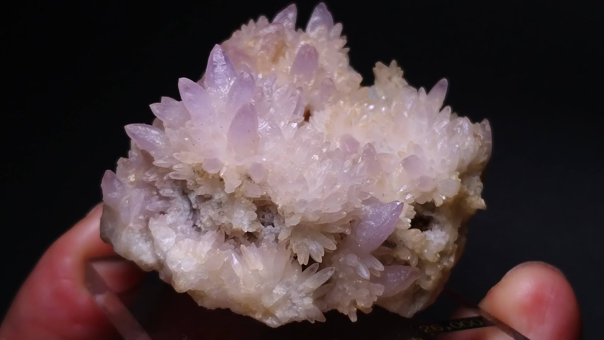 小さいけど可愛い富井鉱山の紫水晶。 今月のミネラルザワールド横浜