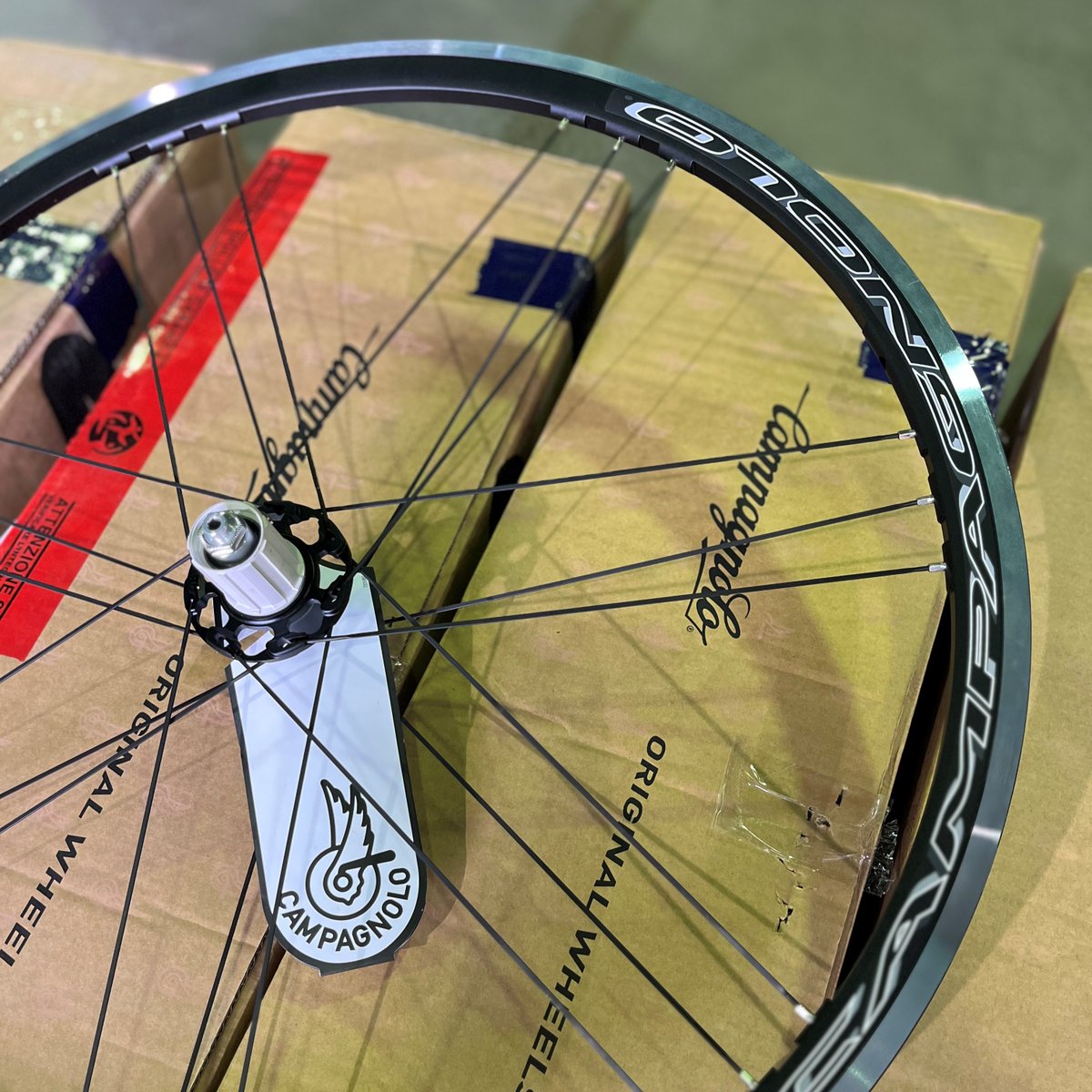 campagnoloのベストセラーホイール、ZONDAが大量入荷しました。 最も