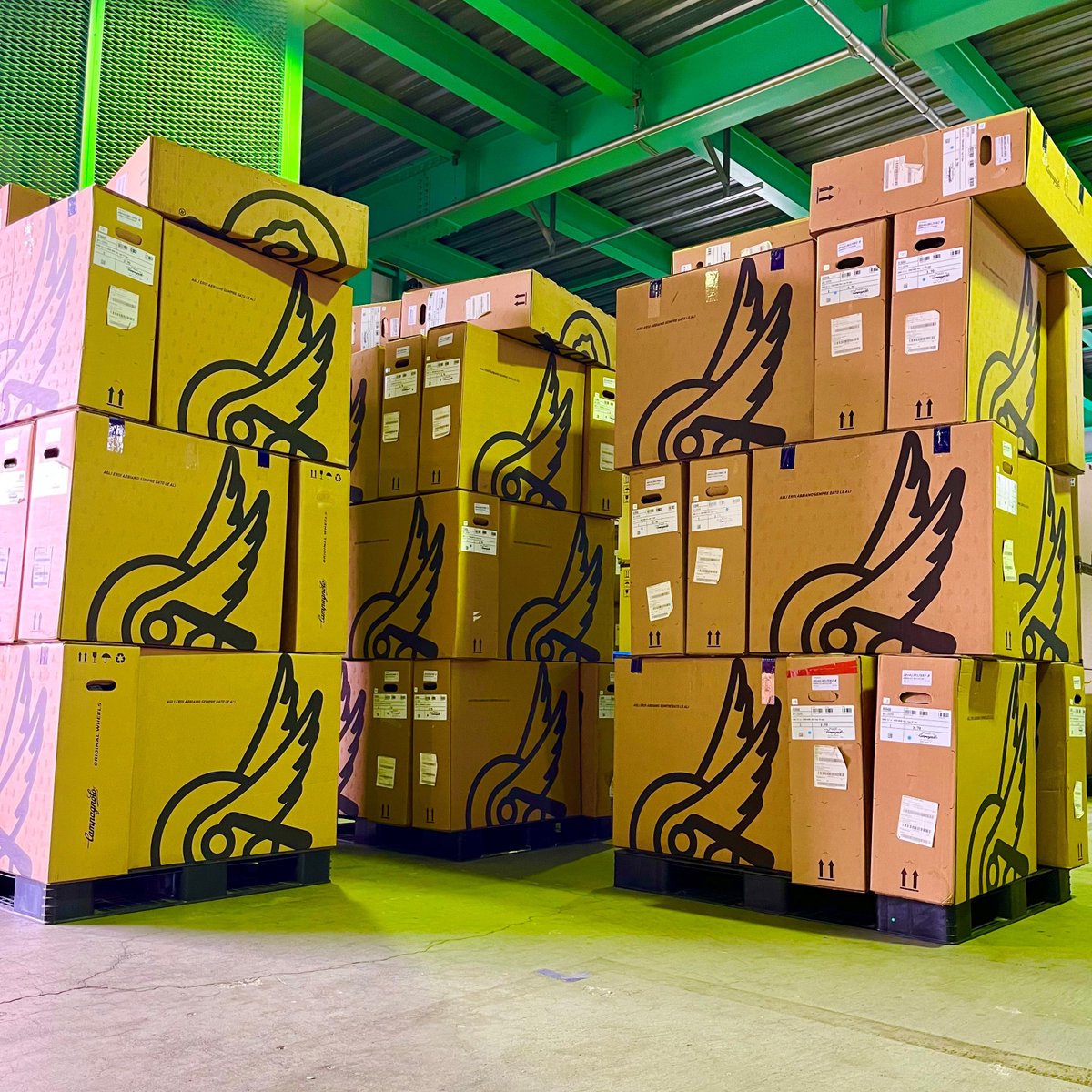 campagnoloのベストセラーホイール、ZONDAが大量入荷しました。 最も