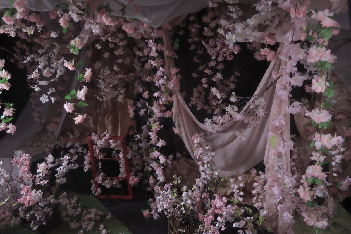 スタジオコローレ:3/2～4/30【桜🌸】 tweet media