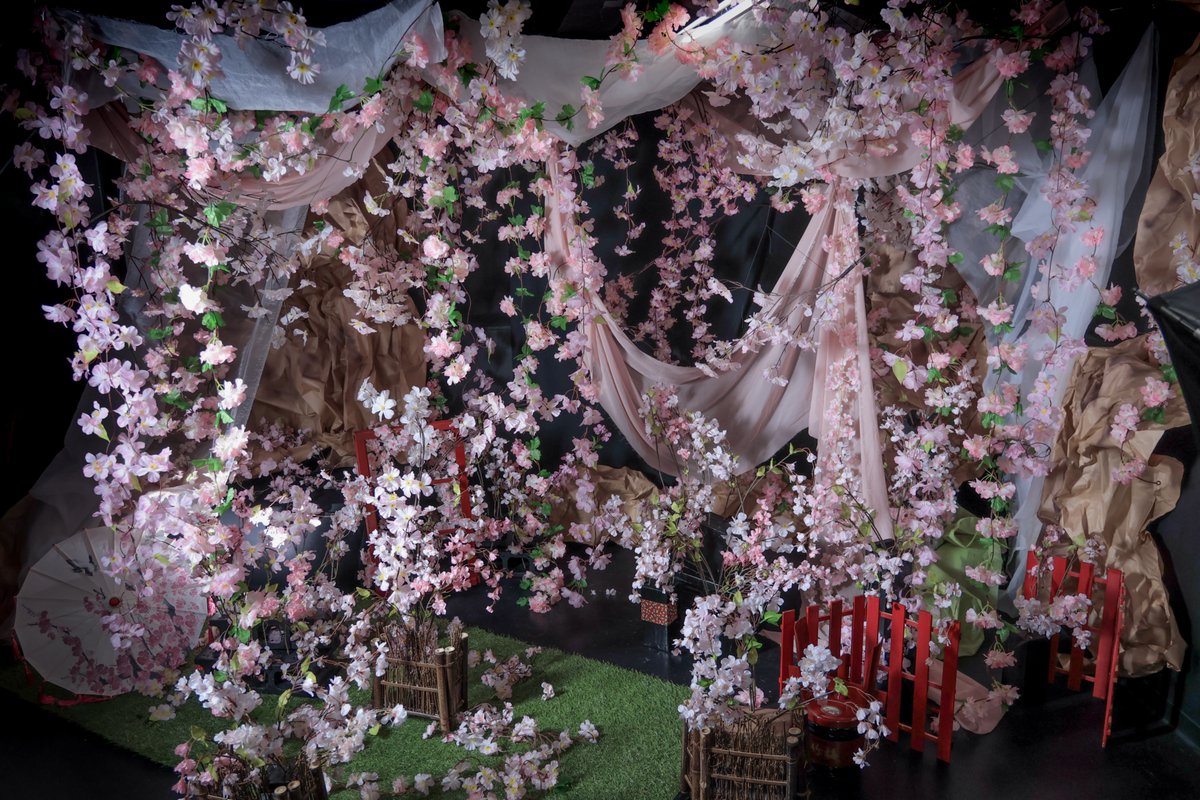 スタジオコローレ:3/2～4/30【桜🌸】 tweet media