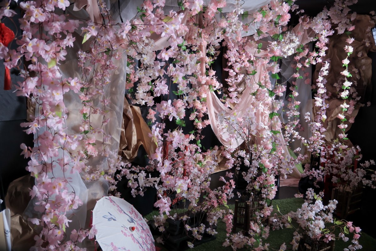 スタジオコローレ:3/2～4/30【桜🌸】 tweet media