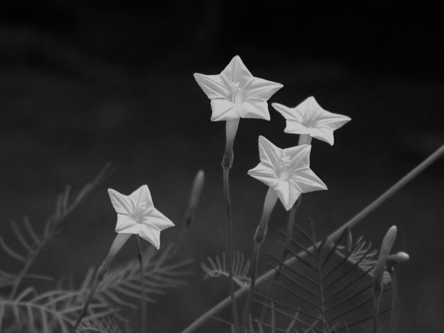 ʀɪᴄᴏ tweet media