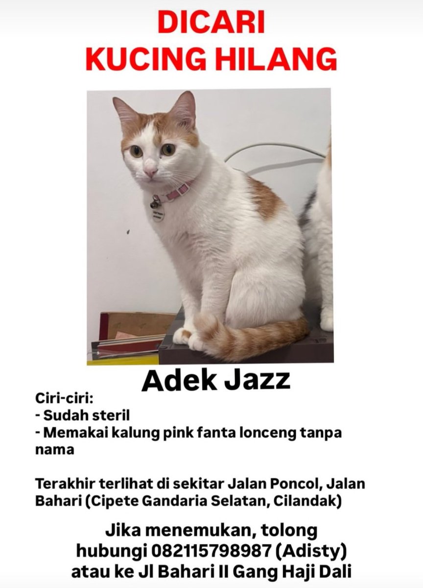 Short life tweet media