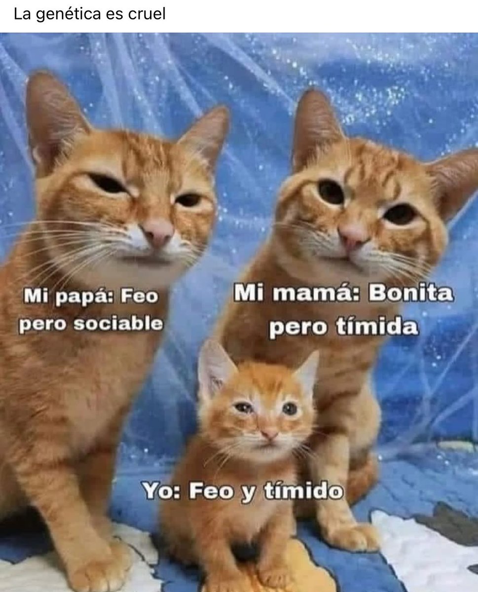 Alejo (@bjs_alejo2) on Twitter photo 