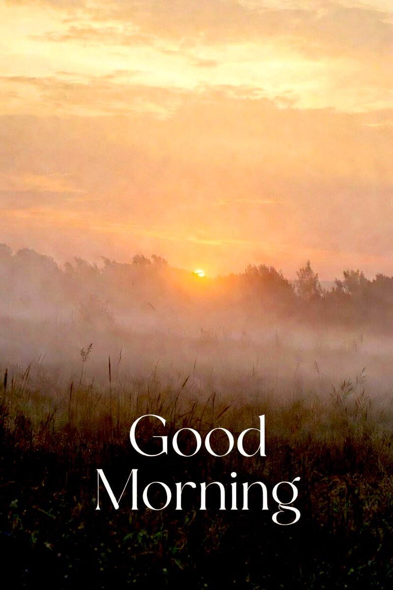 Good Monday morning friends! May today bring you some joy and happiness. Spread some truth and light. 

#MondayMotivation #GoodMorning