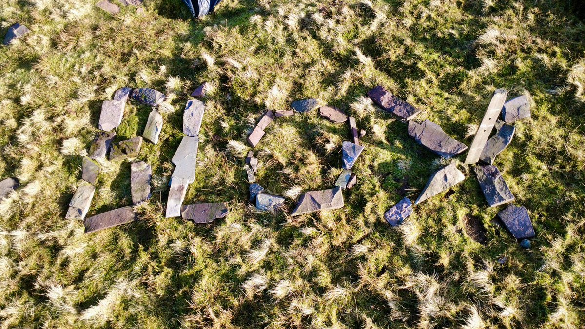 RenewaBlox tweet media