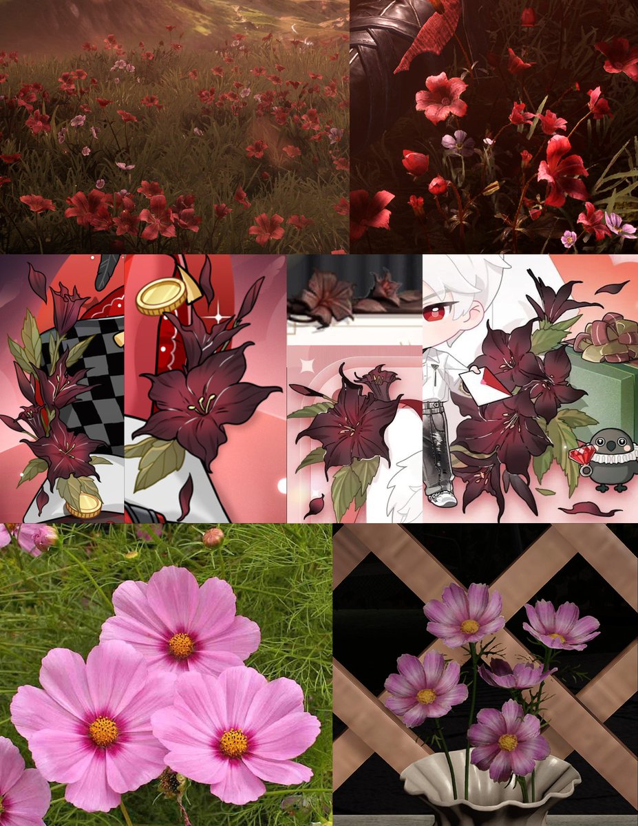 ｡˚ʚꫂ ၴႅ 𝐋𝐚𝐧𝐚 🩵 his dearest wife tweet media