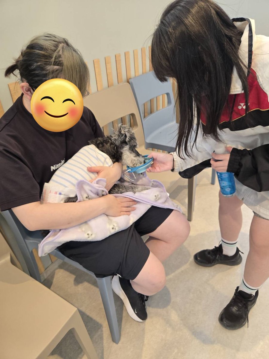 めいぴょん。 tweet media