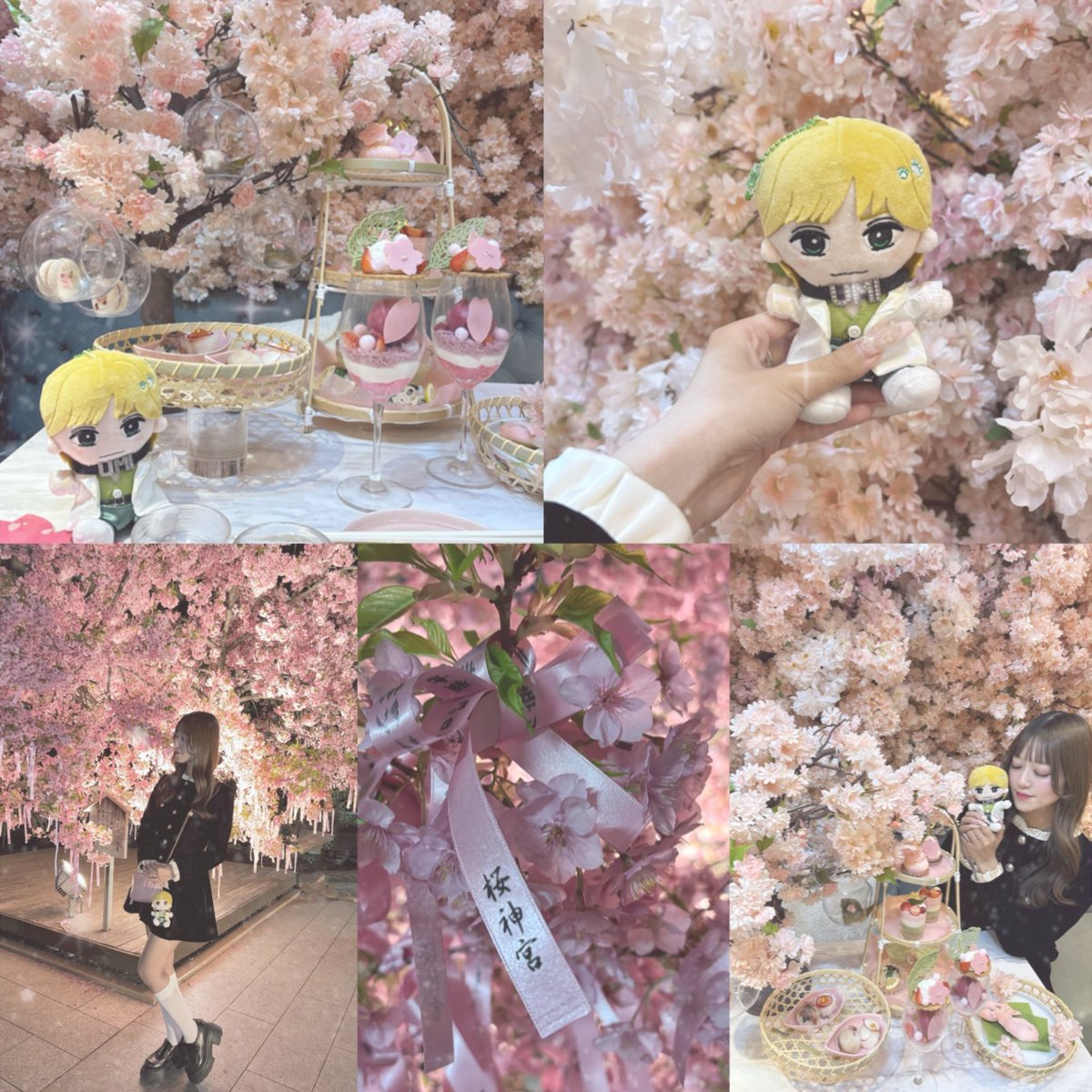 Aちゃん tweet media