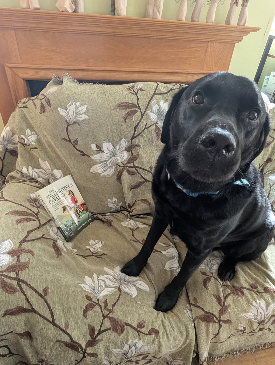 LynnBry29527024's tweet photo. Oscar can't wait to get started on https://t.co/tVbW9TqQsm from @GloverGareth Alfie needs a nap after an energetic game of fetch with a new toy earlier but will get to it later.
Looks like a great read, I love the illustrations.
Recommended by #WritingwithLabradors. https://t.co/6PQj3UlsF4