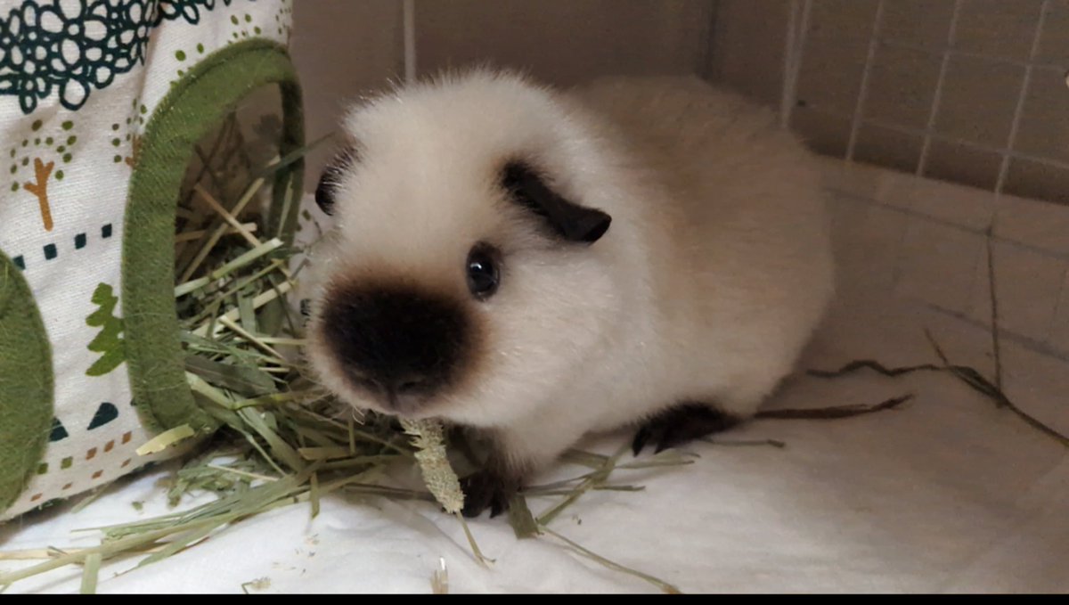 ann(ﾓﾙﾓﾙ) tweet media