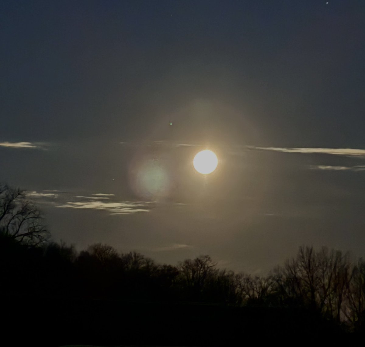 ✨ Amie ✨ tweet media