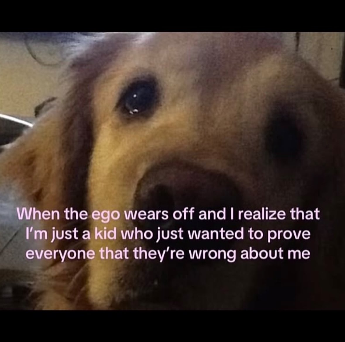 ✧ (@northstardoll) on Twitter photo 