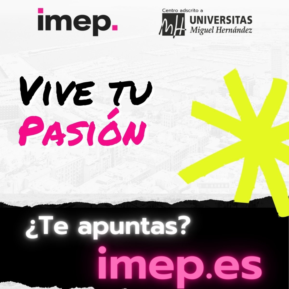IMEP tweet media