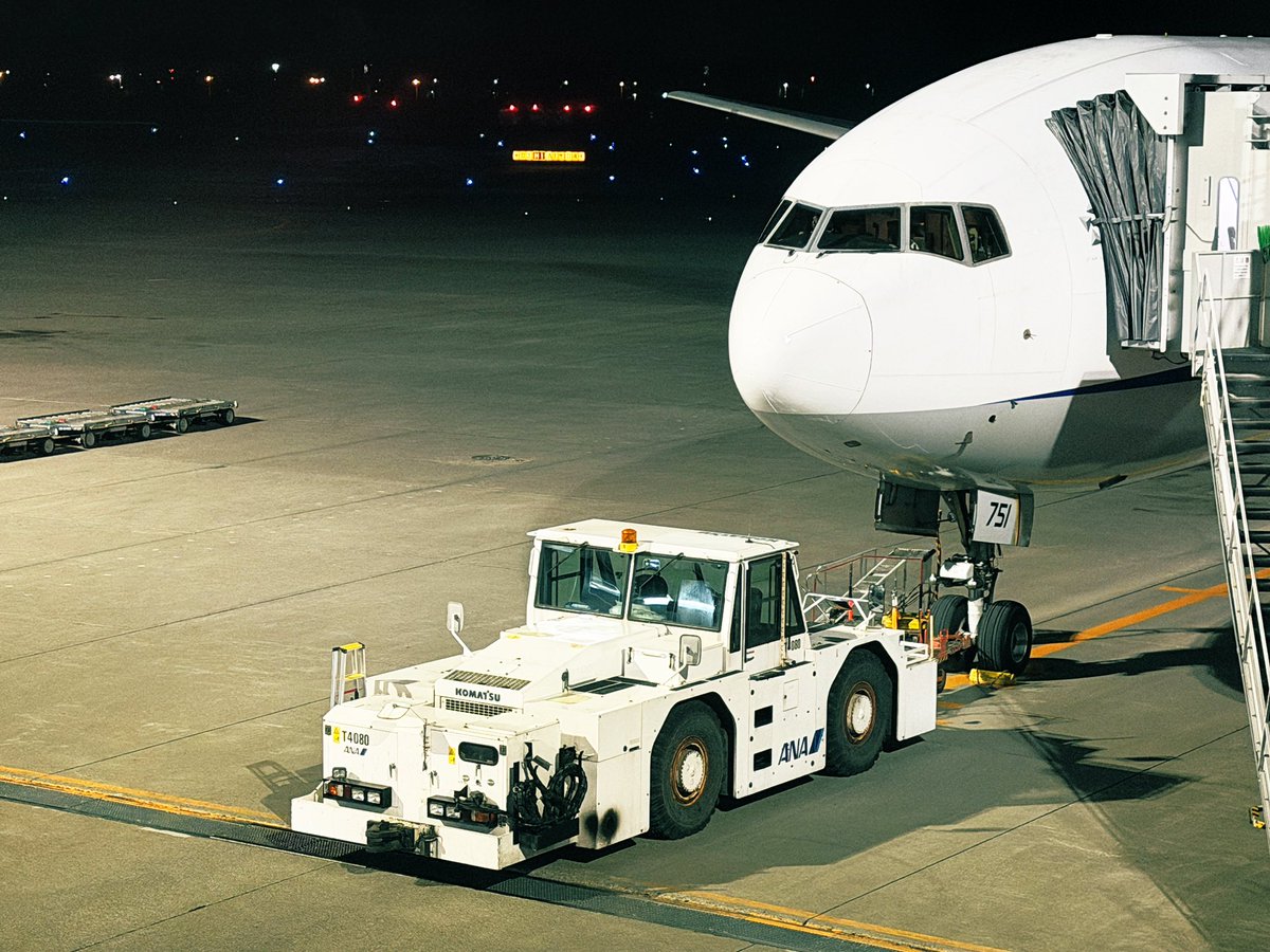 JA751A、絶滅危惧種B777-300。 本機は1998年7月10日に特別塗装仕様(ANA