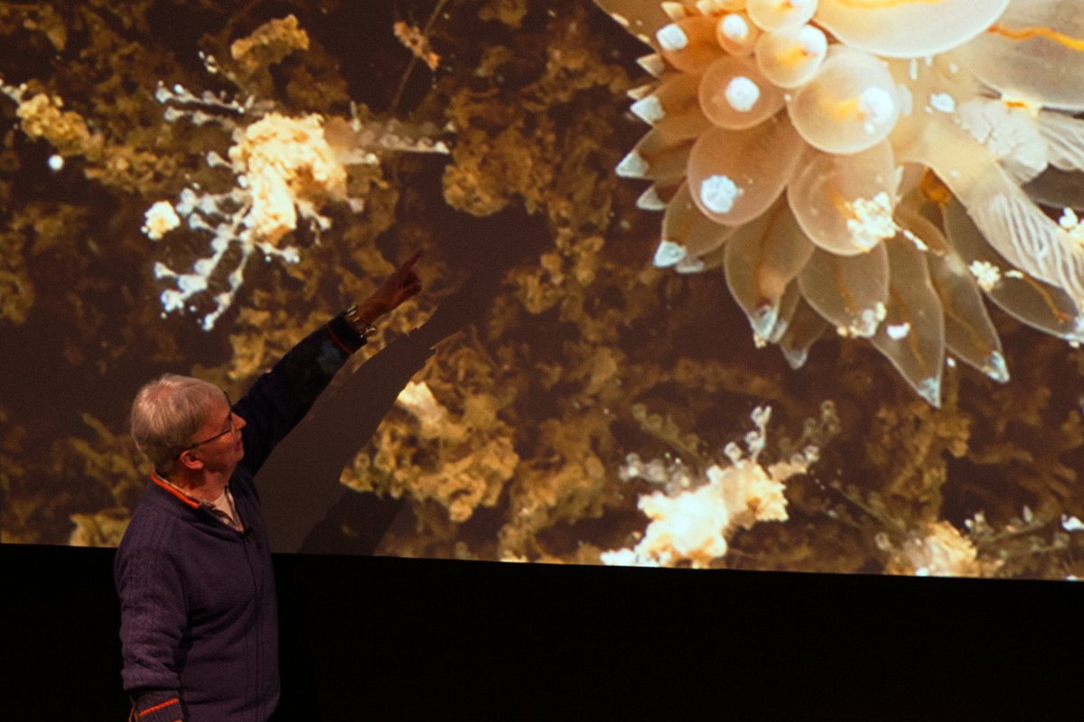 Pembs Coastal Forum tweet media