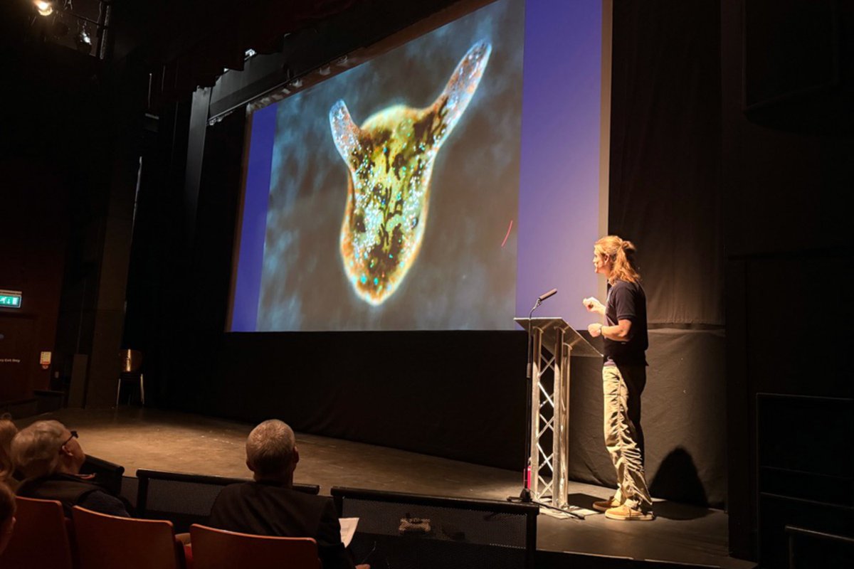 Pembs Coastal Forum tweet media