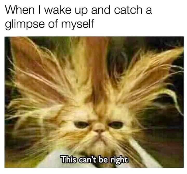 dannyoneofmany's tweet image. #GoodmorningtTwitterWorld 
#MondayThoughts #smiles