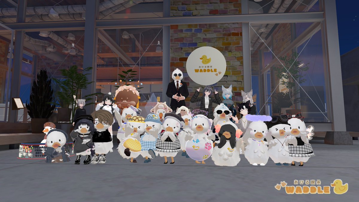 先日の #あひる喫茶Waddle にお越しいただきありがとうございました！🪿
今回はあひるちゃんがとっても多くて平和で可愛い営業になりました︎💕︎

来月の営業もお楽しみに〜！