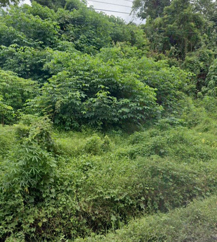 IamStranger tweet media