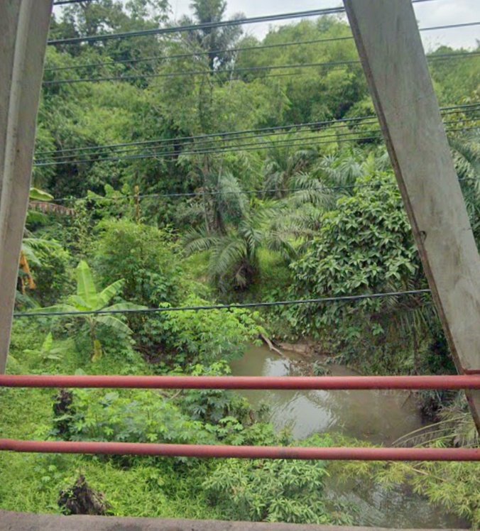 IamStranger tweet media