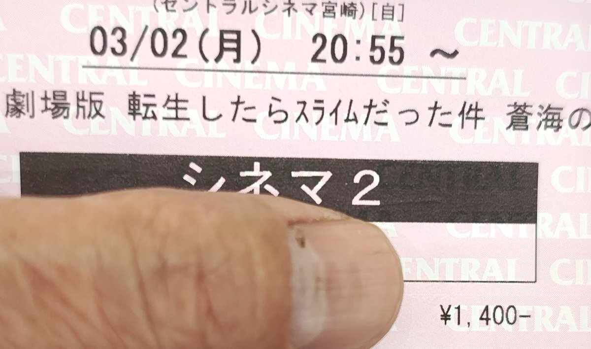 さて、観ましょうか〜✨