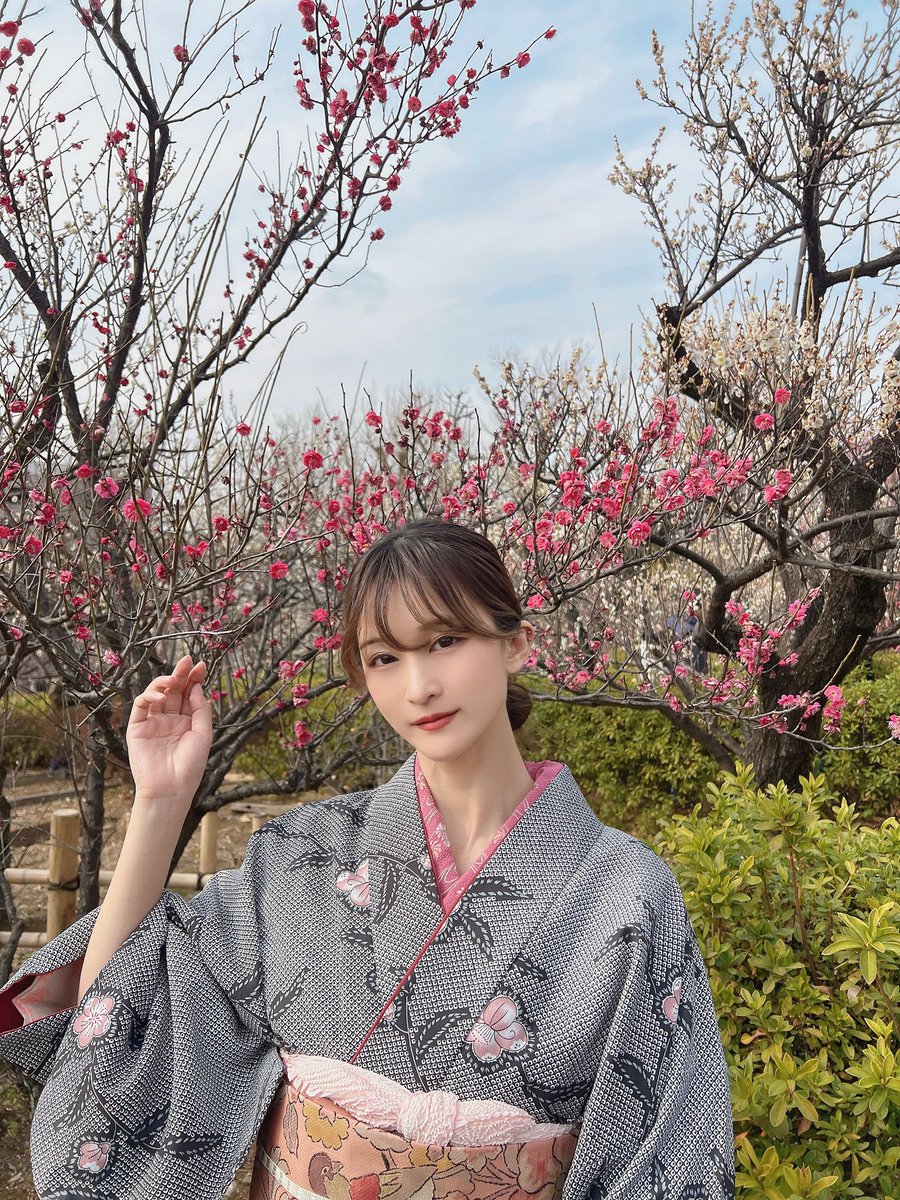 mamiya (@mmy_myan) / Posts / X