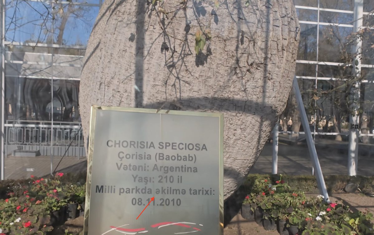 Tural Alisoy tweet media