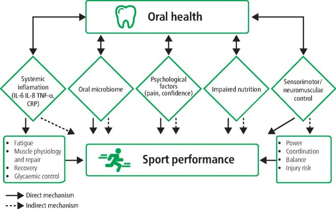 BDJ Portfolio tweet media