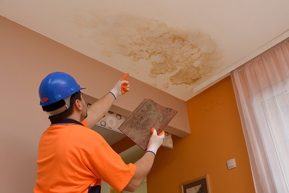 planetom13's tweet photo. Ginette (Lyon centre) : sa vie est devenue un enfer depuis que Paulo Fonseca a emménagé dans l'appartement au-dessus de chez elle. "Il pleure tout le temps, on est sans cesse inondés. "
(@CPVA) https://t.co/iVgtUvNasU