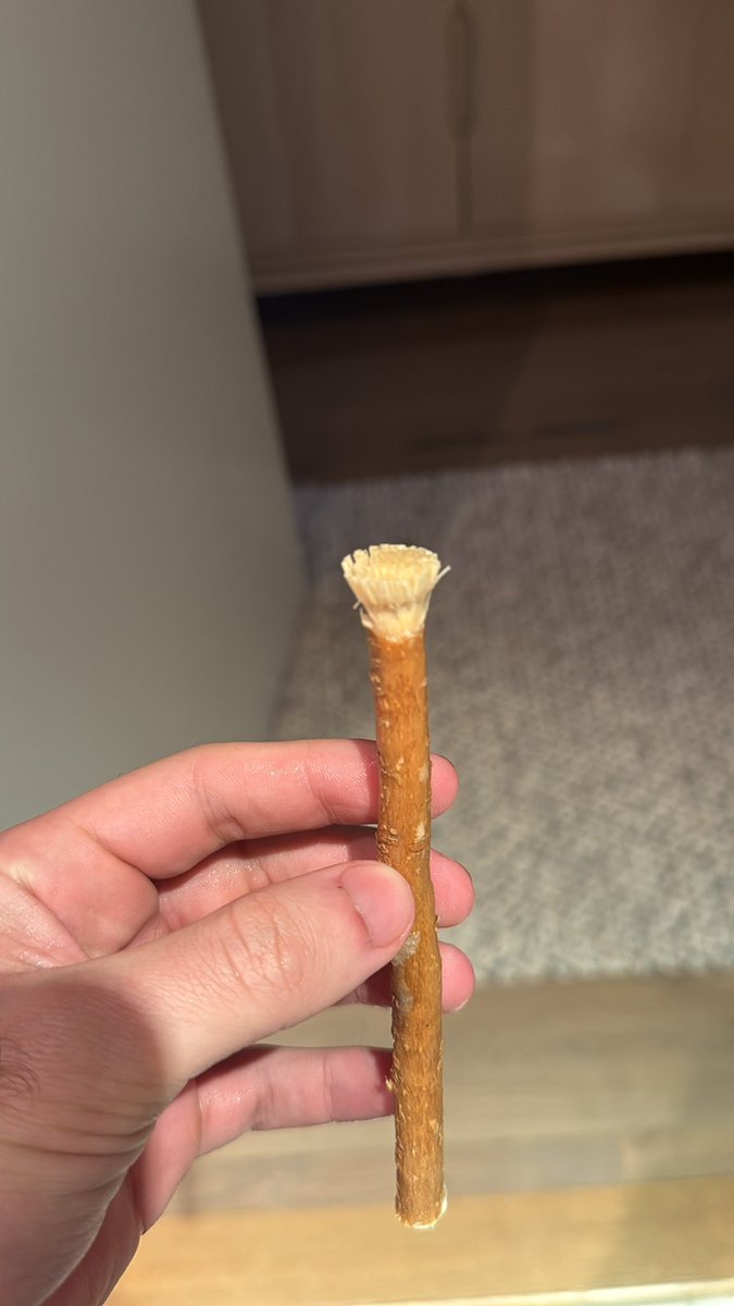 Metabolic Blueprint ⚡ tweet media