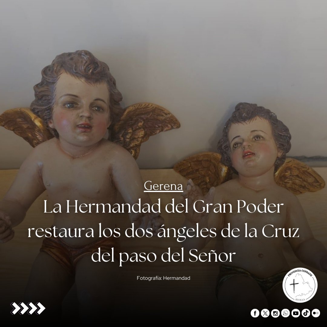 Provincia Cofrade tweet media