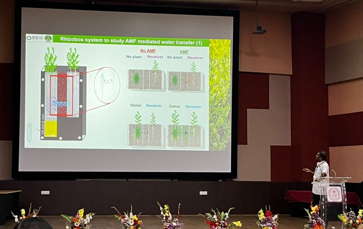 Combined Stresses in Plants_Climate Resilience tweet media