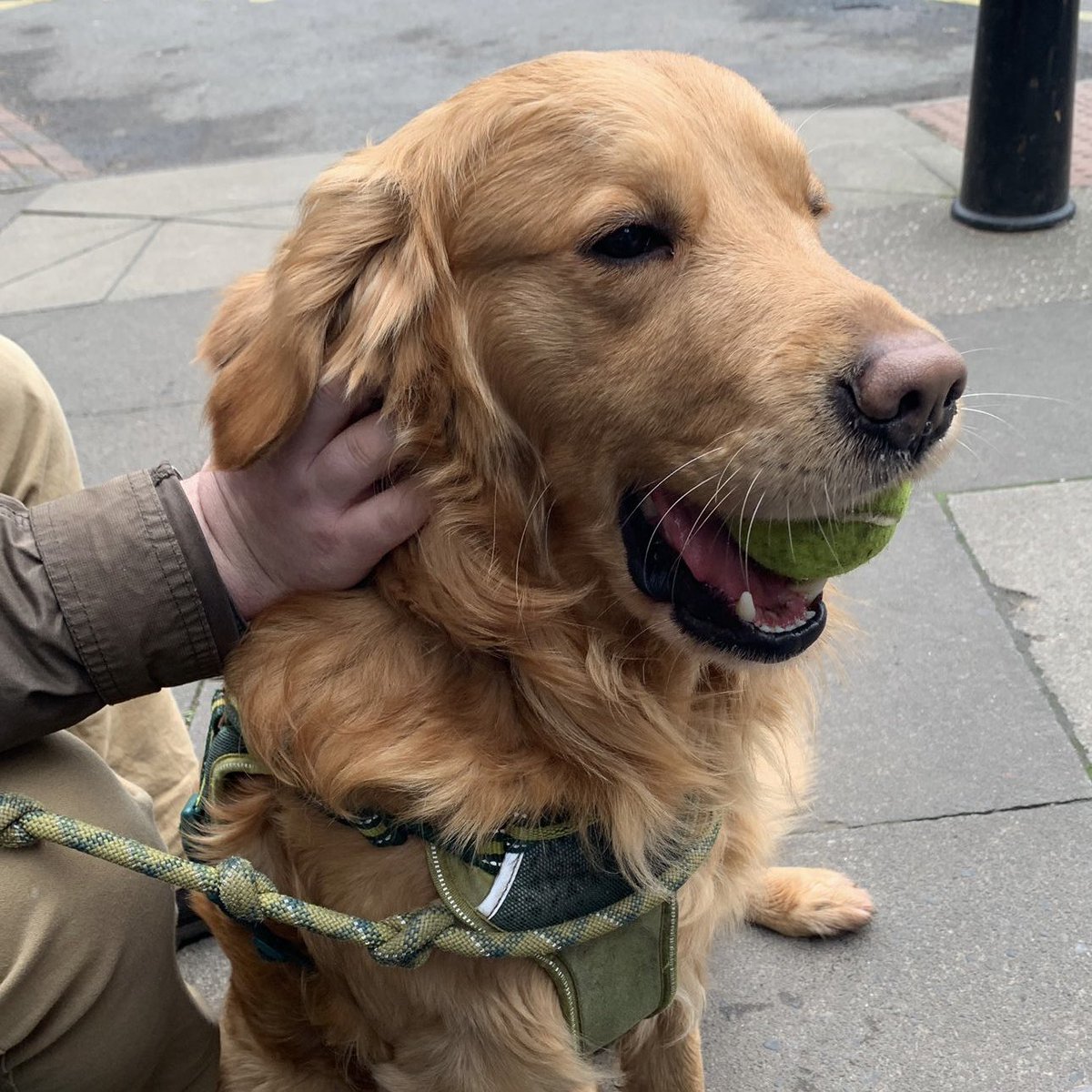 Trevelyan College tweet media