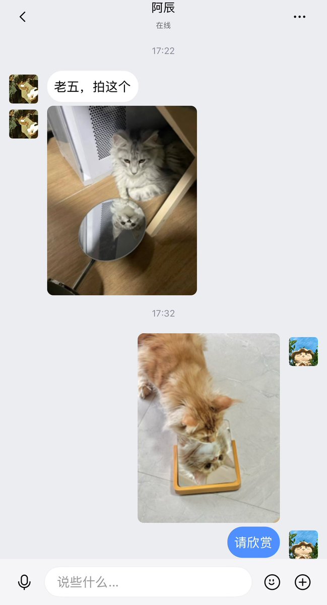 57Friend tweet media